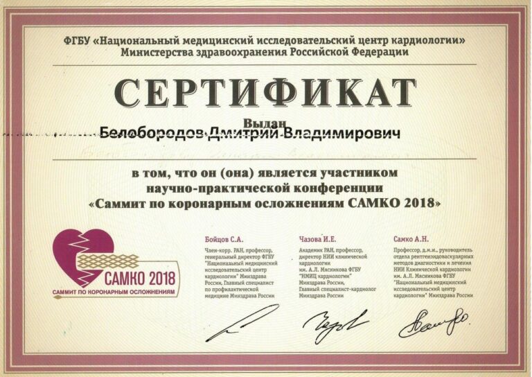 Белобородов Дмитрий Владимирович