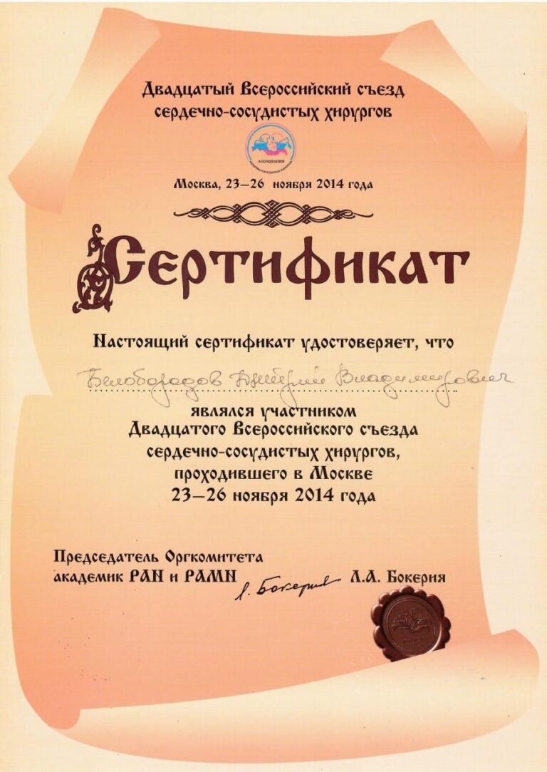 Белобородов Дмитрий Владимирович