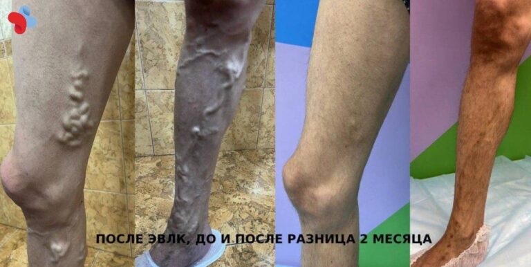 Белобородова Анастасия Игоревна